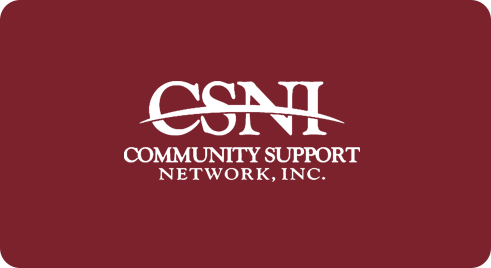 CSNI Logo